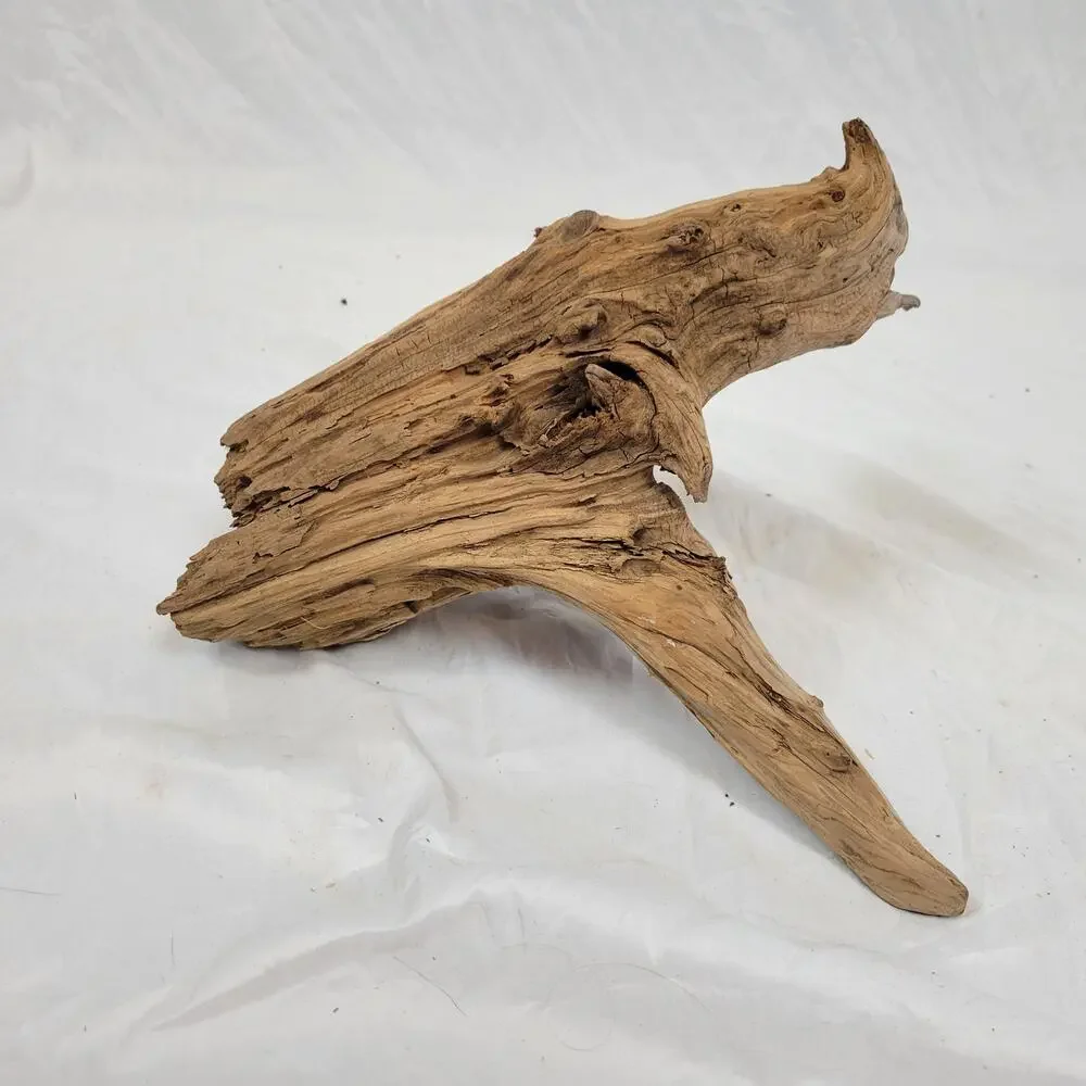 Ohio River Driftwood 13